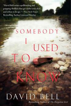 SomebodyIUsedToKnow_18.7_red