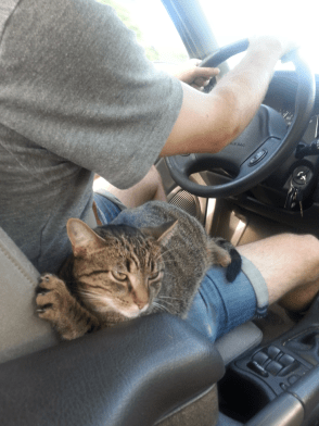 kelly-carty-blog-pic-1